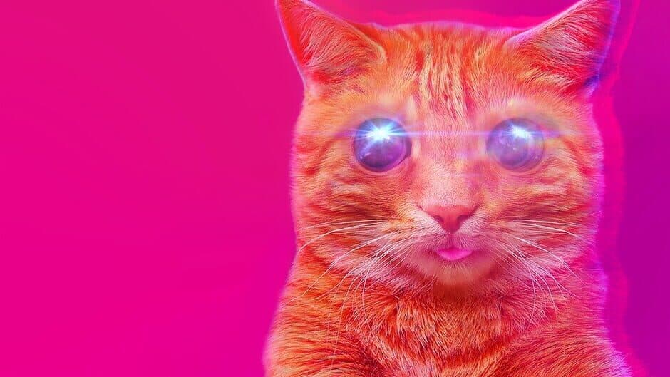 Puss!
