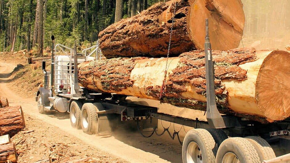 Woodcutter Simulator 2013