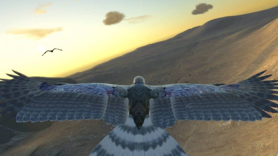 Aquila Bird Flight Simulator