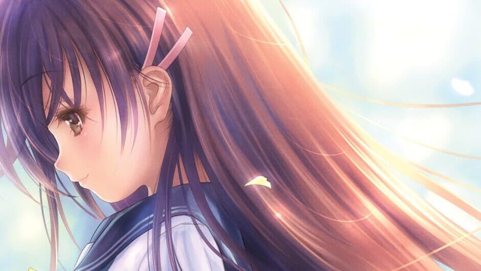 Narcissu 10th Anniversary Anthology Project