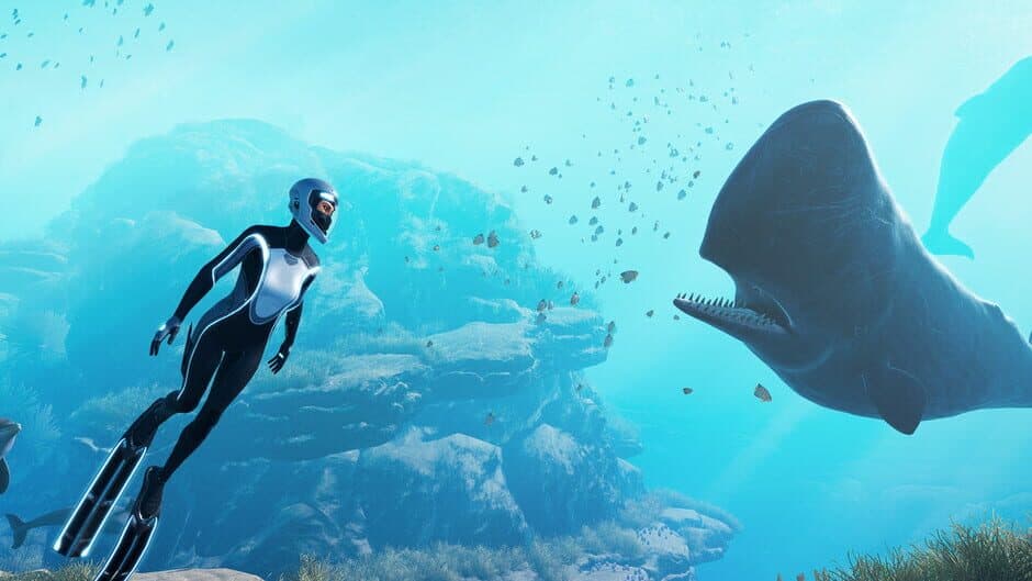 Beyond Blue