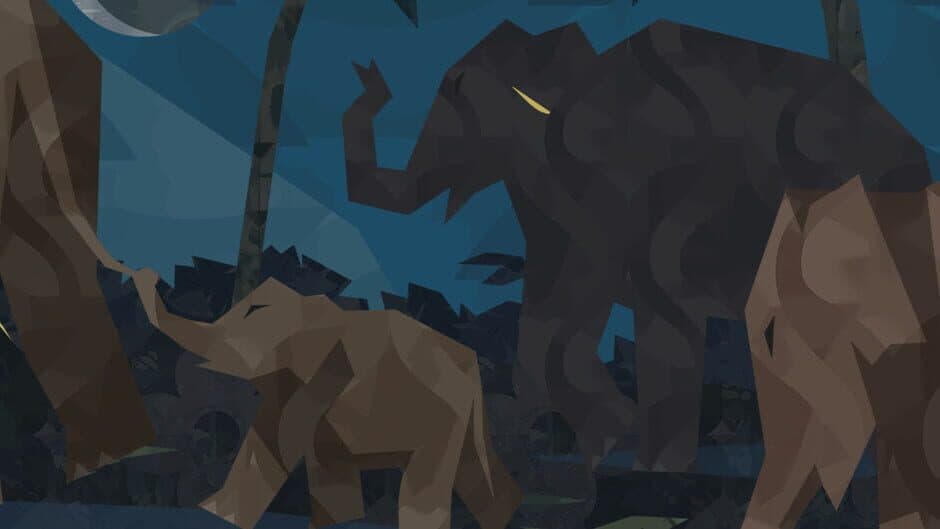 Shelter 3