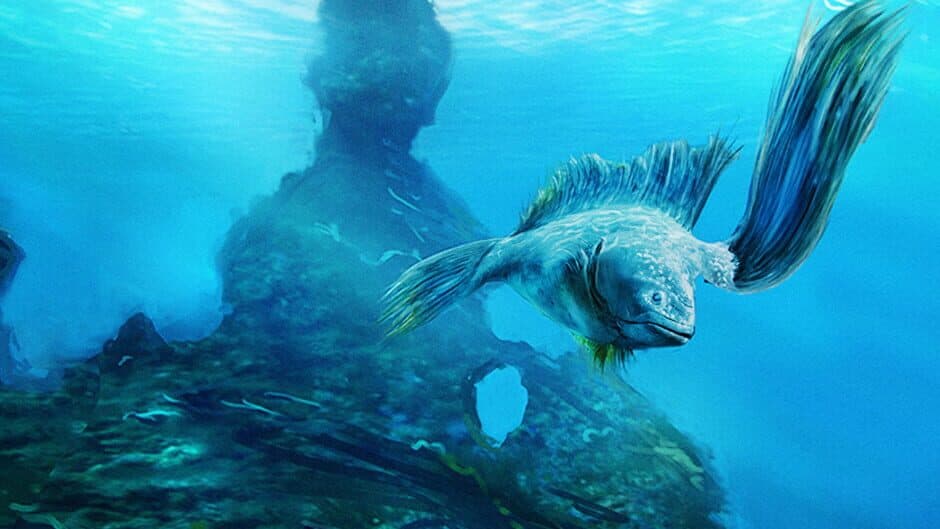 Ecosystem