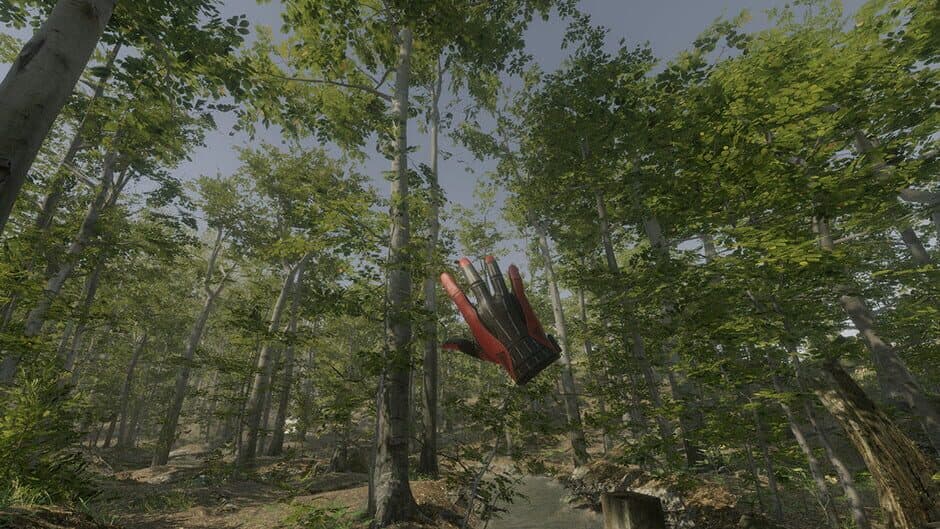 VR Walking Simulator