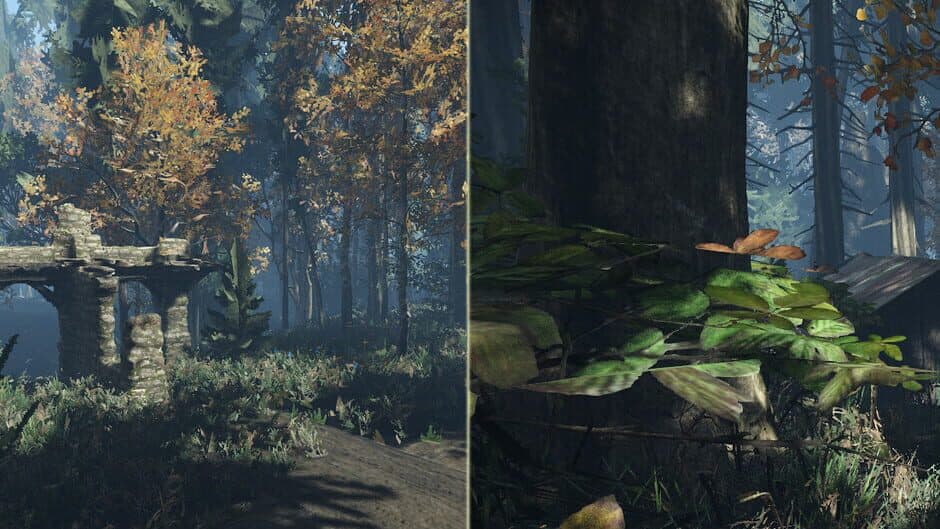 Duty in Forest