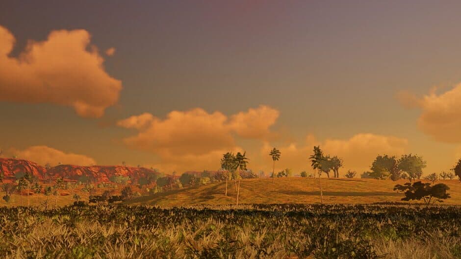 African Safari