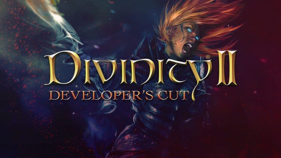Divinity II: Developer's Cut