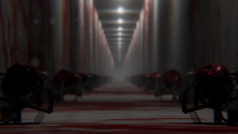 Tomato Way 3