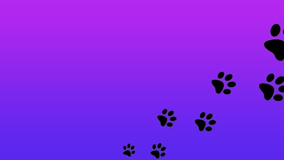 Roxy Raccoon