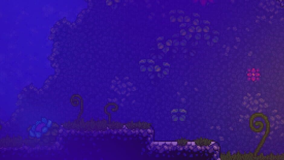 Lone Fungus