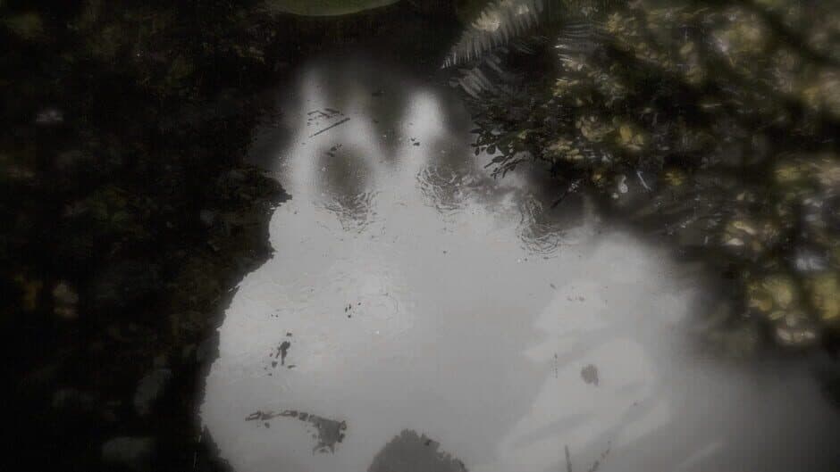 Reflecting Fate screenshot 3