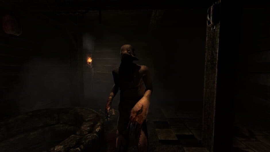 Amnesia - Collection screenshot 2