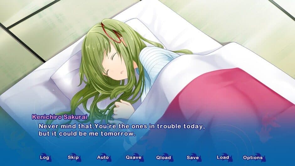 Kyoto Colorful Days screenshot 4