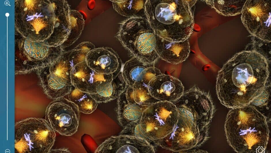 COSM screenshot 3