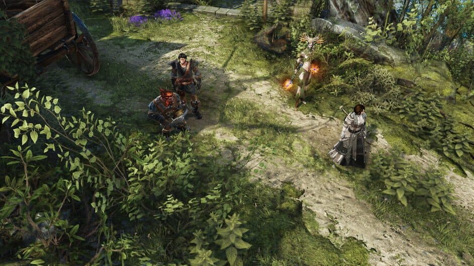 Divinity: Original Sin 2 screenshot 3