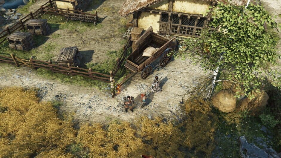 Divinity: Original Sin 2 screenshot 4