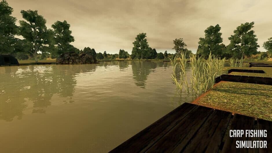 Carp Fishing Simulator screenshot 5