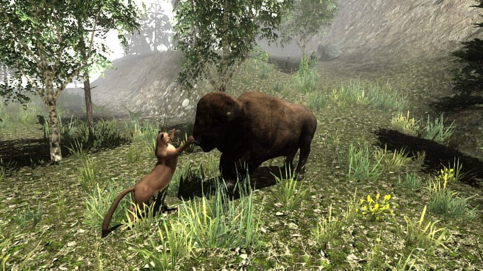 Untamed: Life Of A Cougar screenshot 4