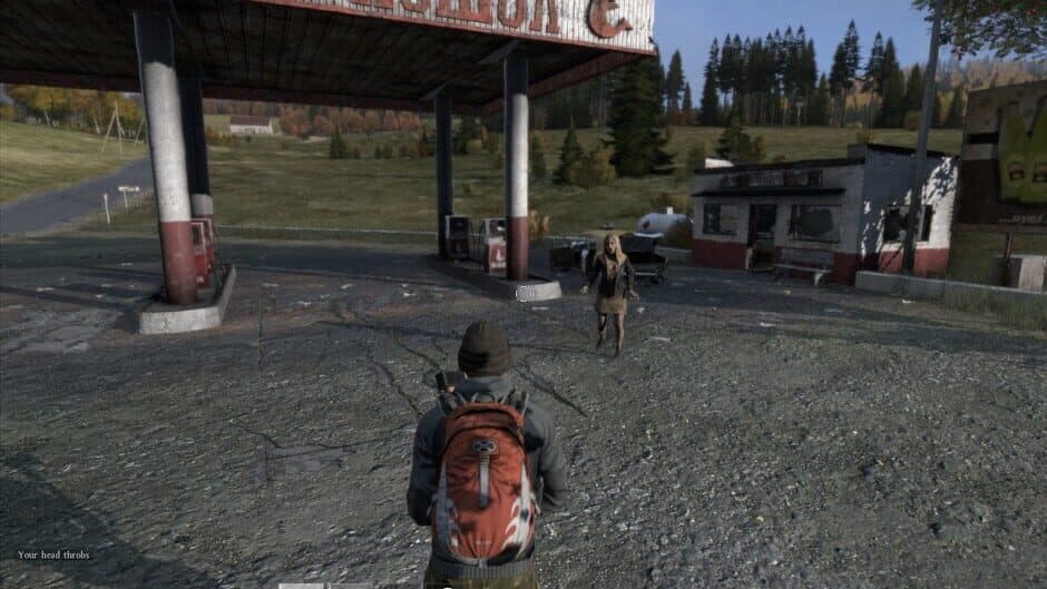 DayZ screenshot 4