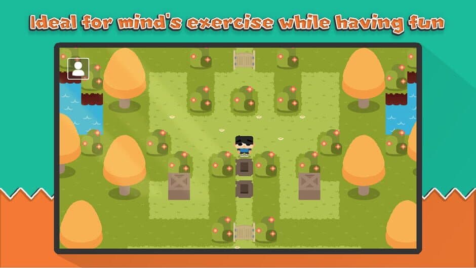 Sokoban Land DX screenshot 3