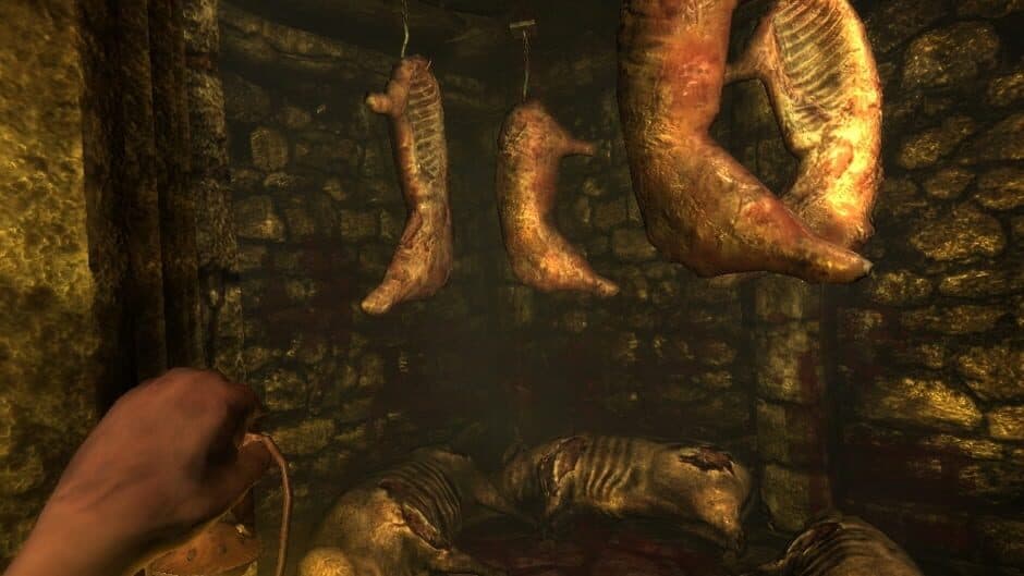 Amnesia - Collection screenshot 3