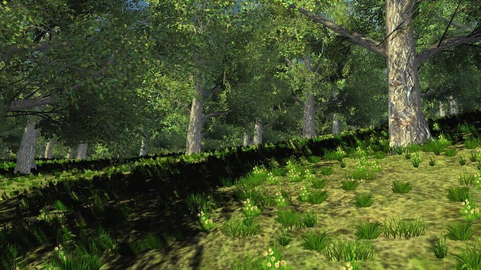 Trials of Wilderness screenshot 2