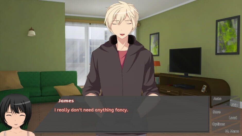 Frequent Flyer: A Long Distance Love Story screenshot 2
