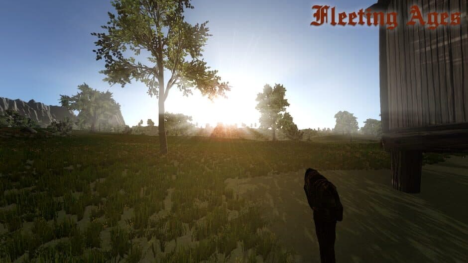 Fleeting Ages screenshot 3