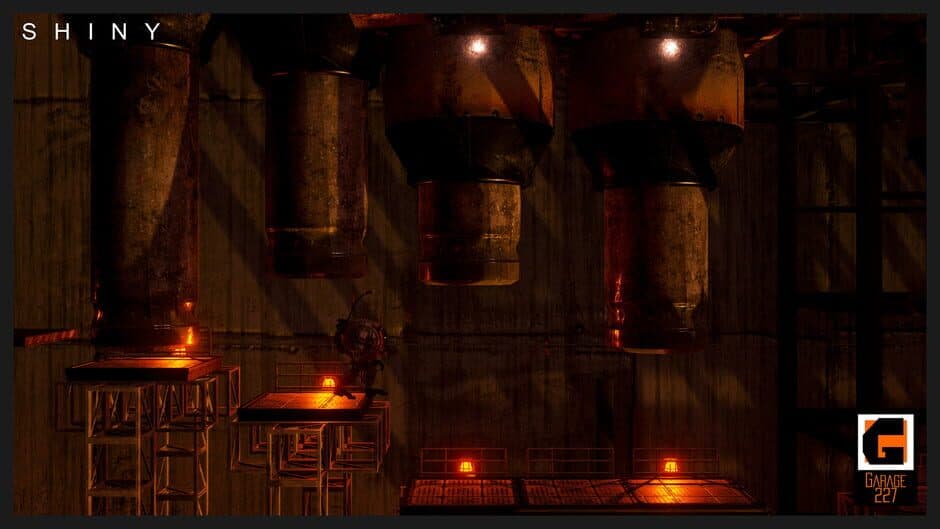 Shiny screenshot 2