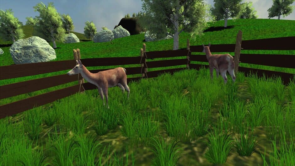 Trials of Wilderness screenshot 4
