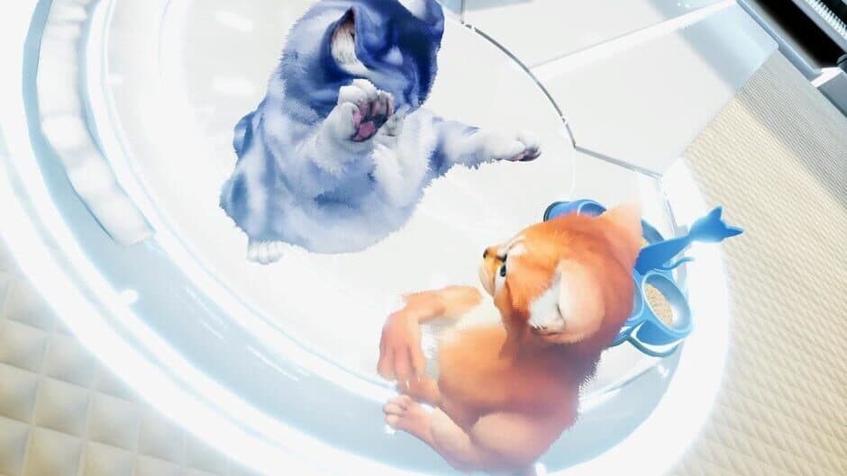 Kitten'd screenshot 5