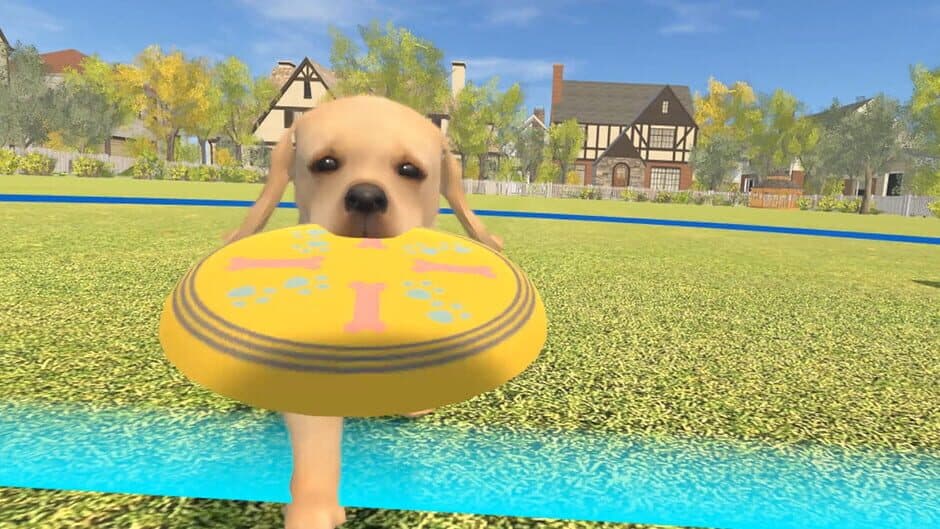 Dream Pets VR screenshot 4