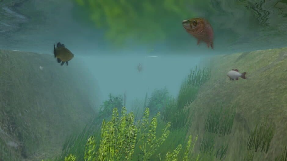 European Fishing screenshot 3
