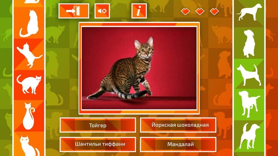 JQ: dogs & cats screenshot 2