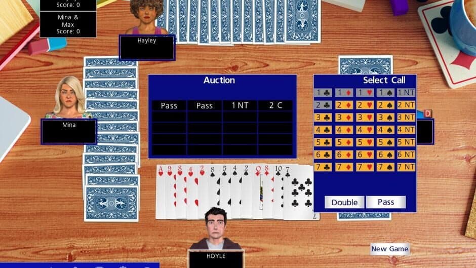 Hoyle Official Card Games screenshot 4