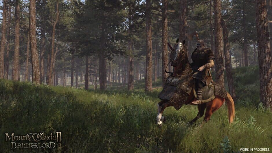 Mount & Blade II 2: Bannerlord screenshot 3