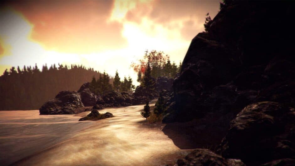 Light & Dark - Bundle screenshot 5