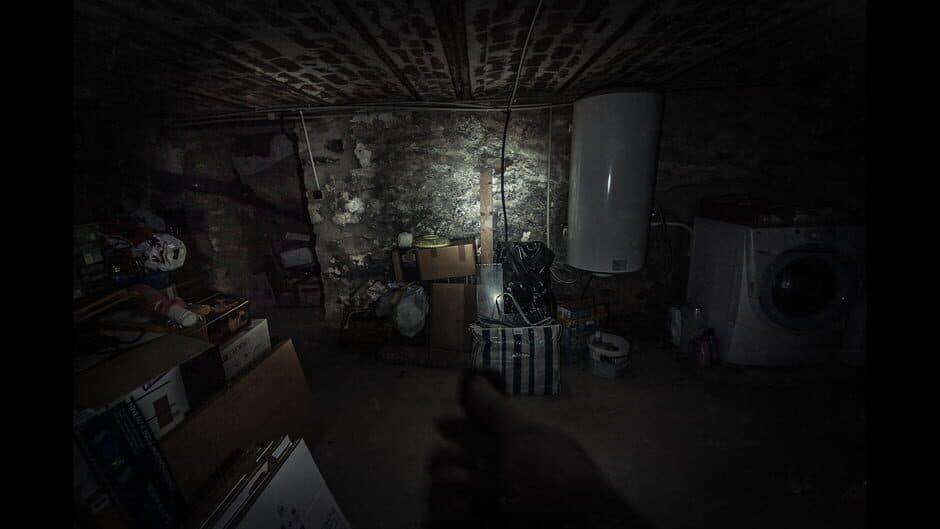 The Fan screenshot 3