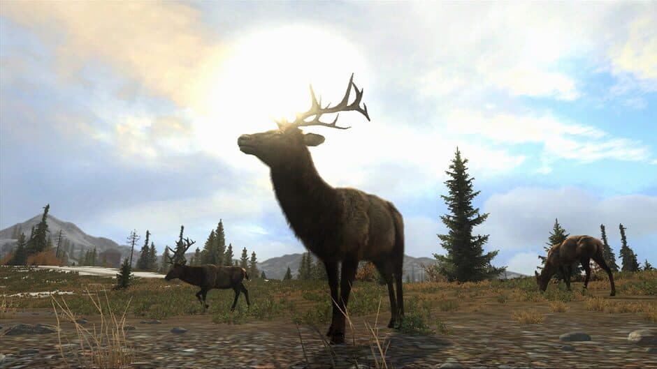 Cabela's Big Game Hunter Pro Hunts screenshot 5