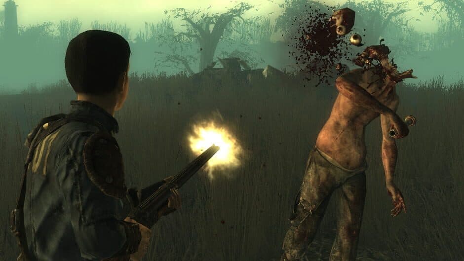 Fallout 3 - Point Lookout screenshot 6