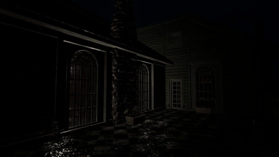THE LAST PORTRAIT screenshot 5
