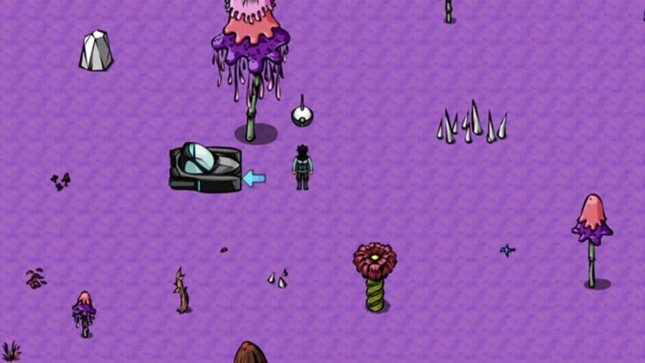 The Secret Planet screenshot 1