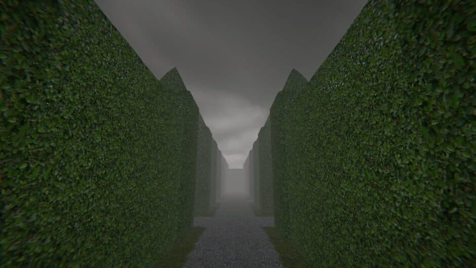 PROJECT MAZE screenshot 3