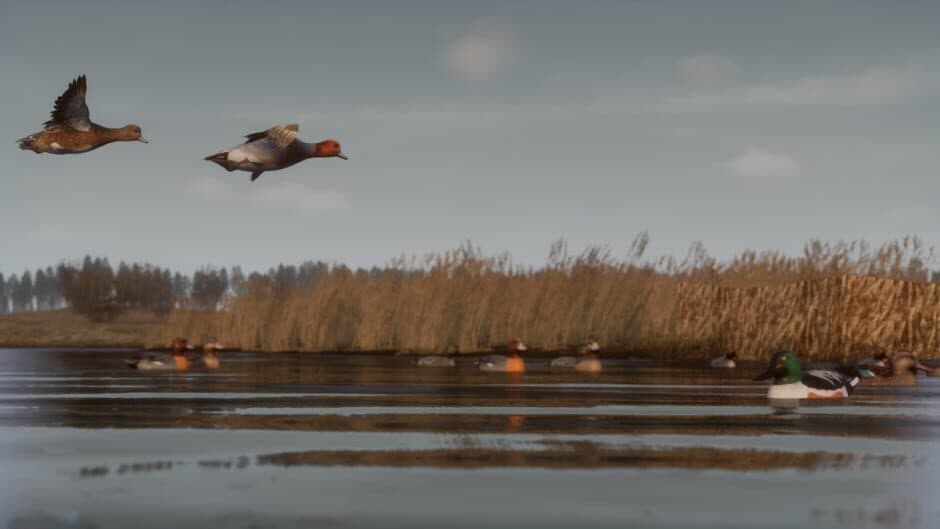 BULT: Hunting simulator screenshot 1