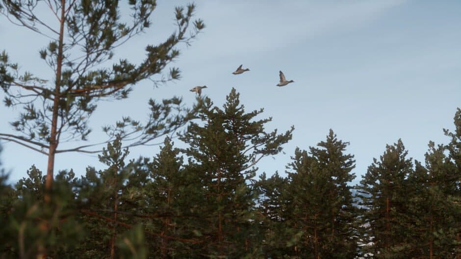 BULT: Hunting simulator screenshot 4