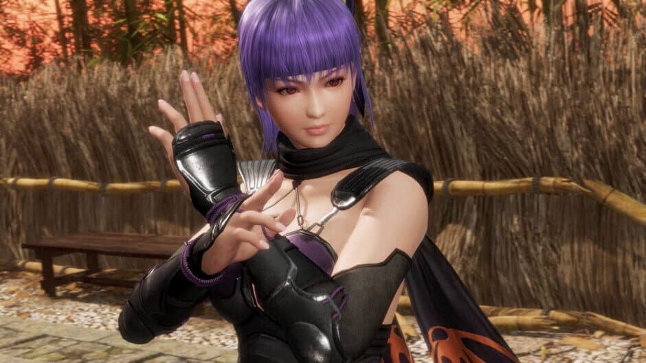 DEAD OR ALIVE 6 Last Round screenshot 5