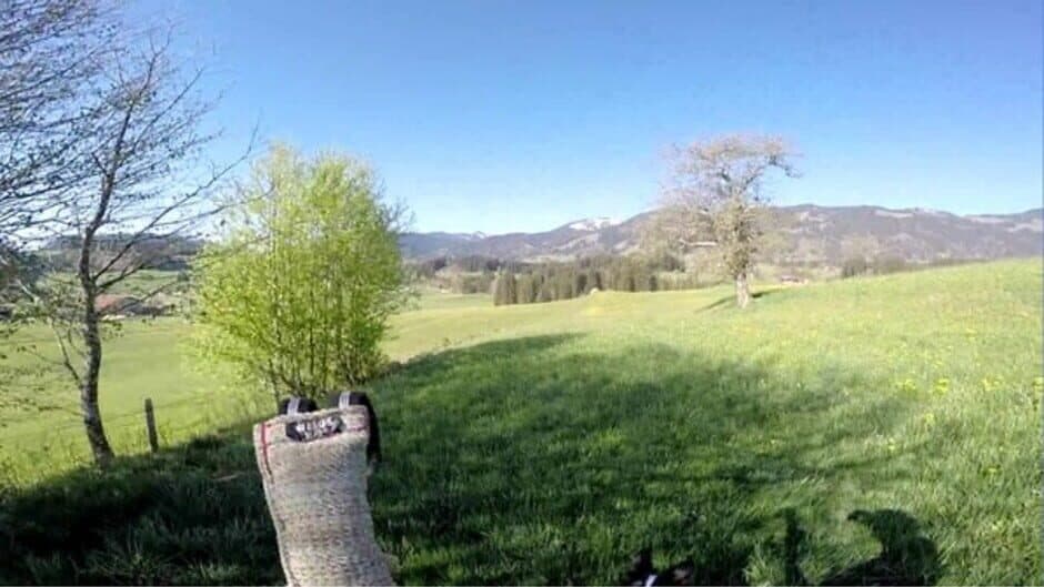 BorderCollie Game screenshot 2