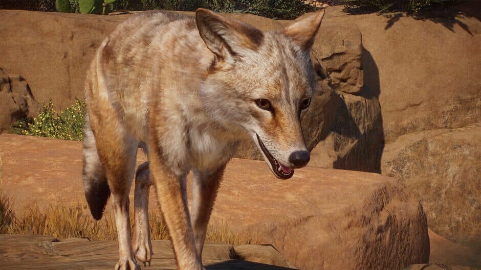 Planet Zoo - Americas Animal Pack screenshot 3