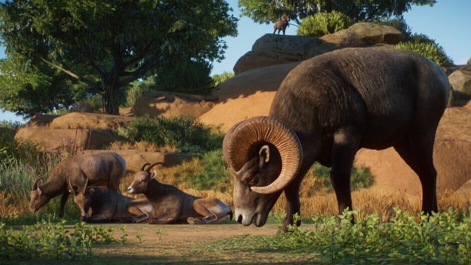 Planet Zoo - Americas Animal Pack screenshot 1