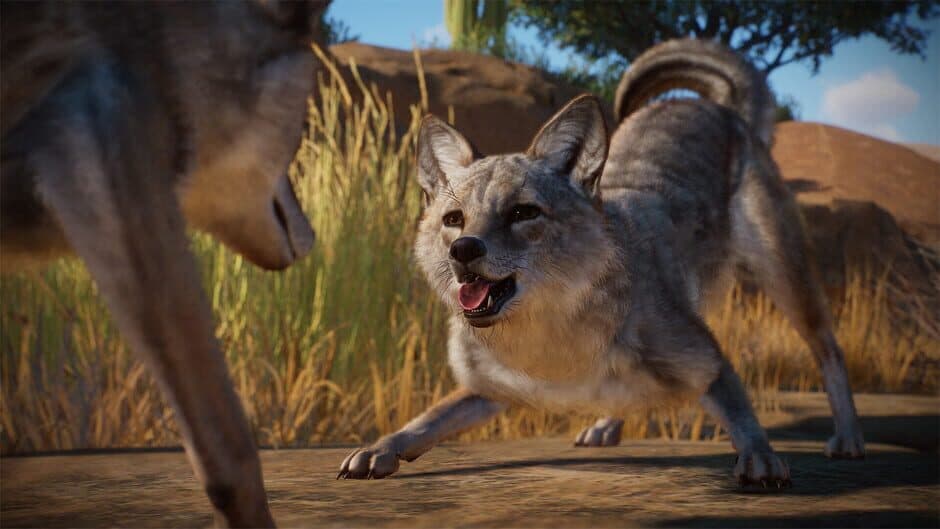 Planet Zoo - Americas Animal Pack screenshot 4